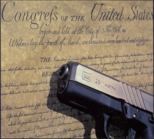 Gun & Constitution